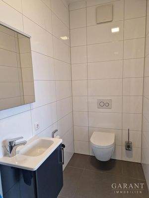 Ansicht GästeWC mit Dusche 3