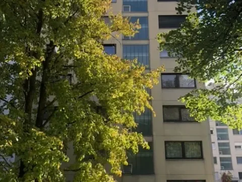 Gottmadingen Wohnungen, Gottmadingen Wohnung mieten