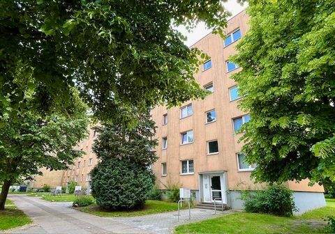 Schwerin Wohnungen, Schwerin Wohnung mieten