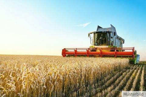 Ibbenbüren Bauernhöfe, Landwirtschaft, Ibbenbüren Forstwirtschaft