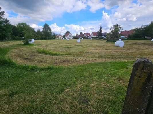 angrenzende Wiese mit Nachbarbebauung