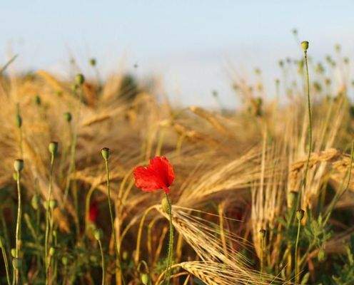 WhatsApp Image 2026-03-27 at 09.21.00.jpeg