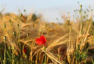 WhatsApp Image 2026-03-27 at 09.21.00.jpeg