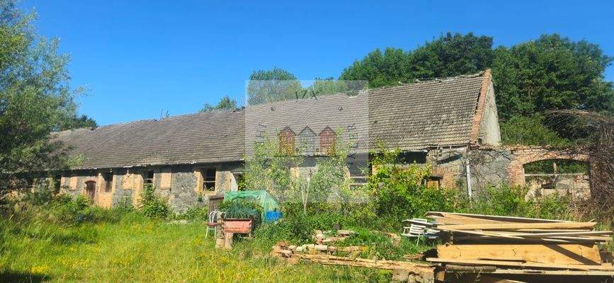 WhatsApp Image 2025-07-02 at 13.09.13 (2)