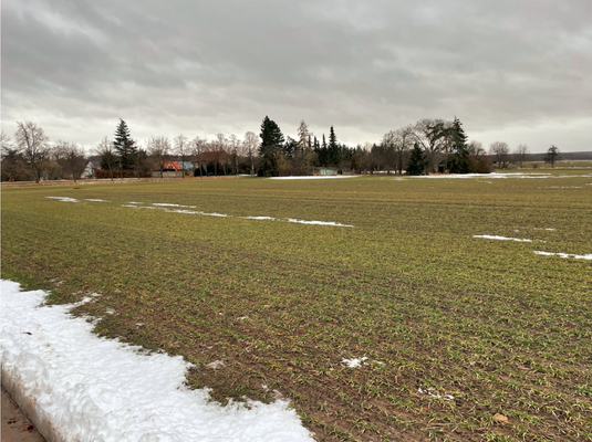 Bodensee 129 - Vorschau Grundstück