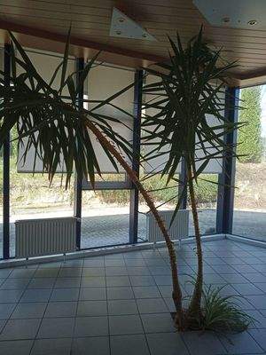 Büroraum vorne seitlich