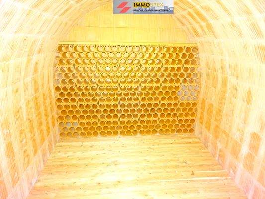 Luxus Haus in Grenzach15.jpg