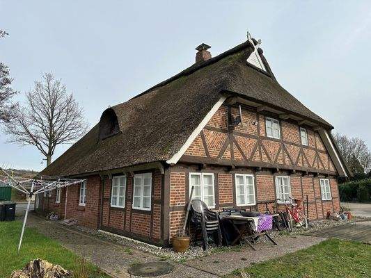 Seiten-Rückansicht (2)