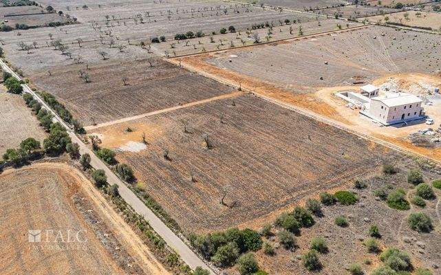 Grundstück-Cala Llombards-13
