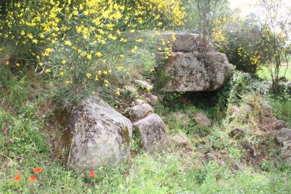 Große Findlinge im Garten