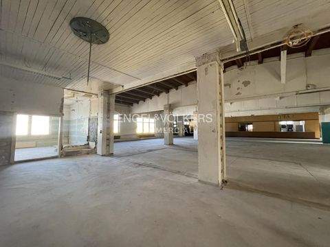 Berlin Halle, Berlin Hallenfläche