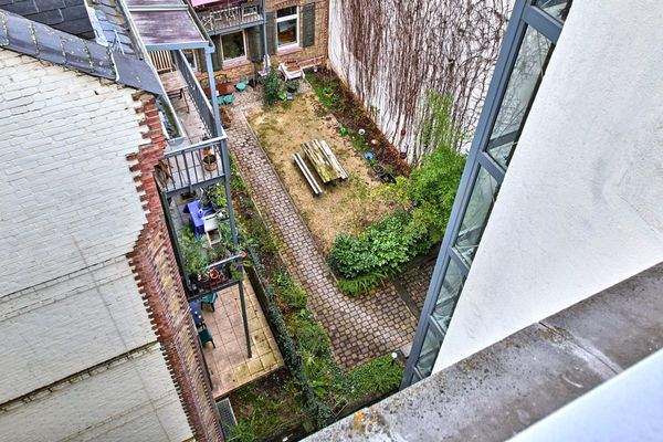 View into the backyard