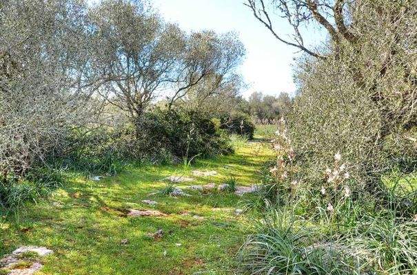 179_15_Santanyí_Anwesen_Impression