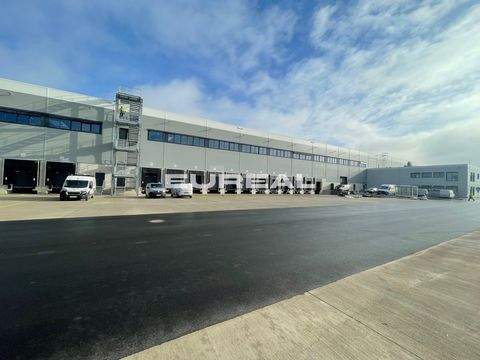 Dortmund Halle, Dortmund Hallenfläche