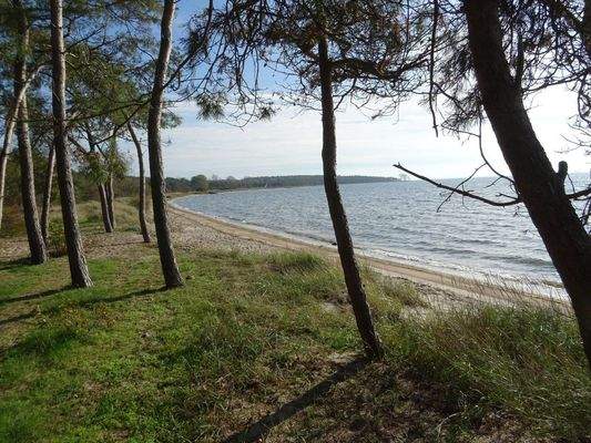 Hausstrand Palmer Ort