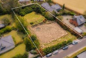 Seitenansicht (Aktuell)