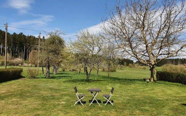 Direkt im Grünen.jpeg