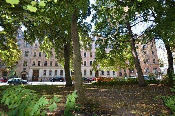 Grüner Platz am Schlossplatz