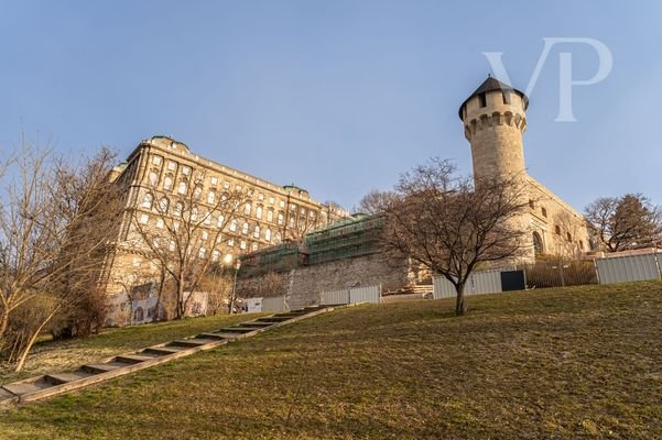 _DSC8866