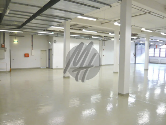 INFOS UNTER: 06171-586000