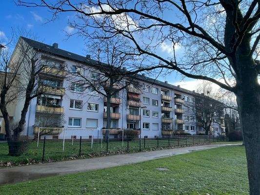 WhatsApp Image 2023-02-06 at 18.59.24 (1