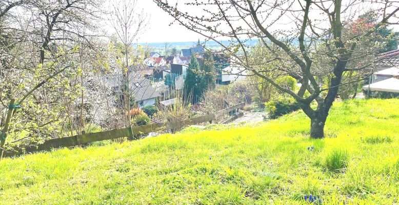 Park-Lage mit Weitblick