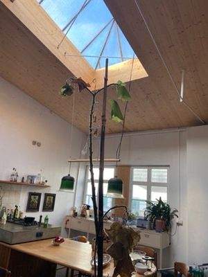 IMG_6969 Mittel.jpeg