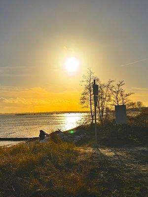 Entspannte Tage garantiert.jpg