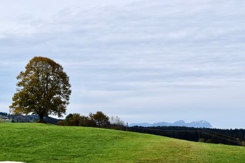 Oberreute Wohnungen, Oberreute Wohnung kaufen