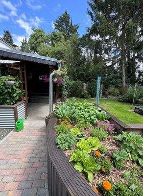 Garten mit Grill und Gartenhau