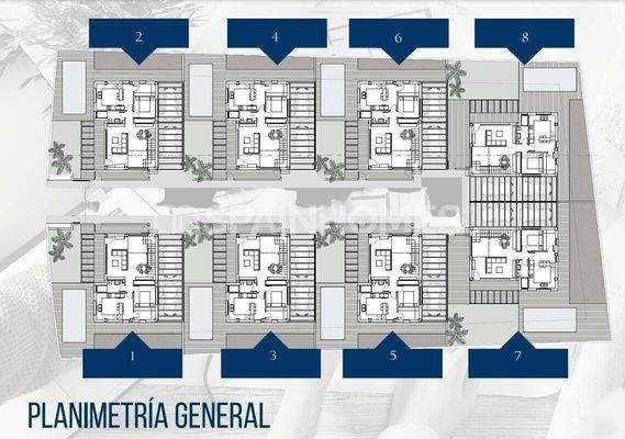 Villas with Private Pools and Gardens in San Juan Alicante