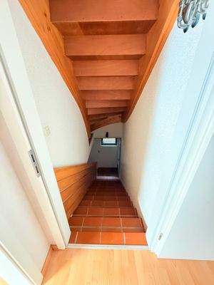 WhatsApp Image 2025-11-19 at 14.14.38.jpeg