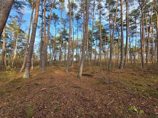 7_582016452_1184850686912461_2273404913250293332_n