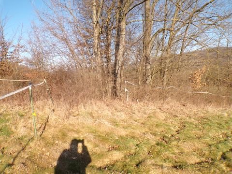 Friedland Grundstücke, Friedland Grundstück kaufen