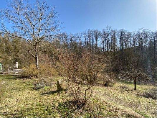 Impression Grundstück - Bild 2