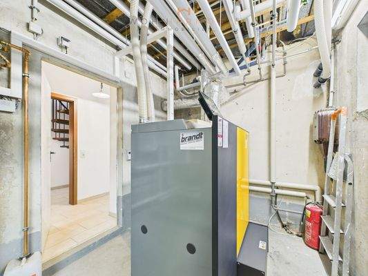 Pelletheizung aus 2021