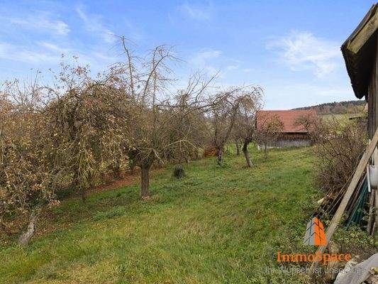 Schöner Garten mit Baumbestand