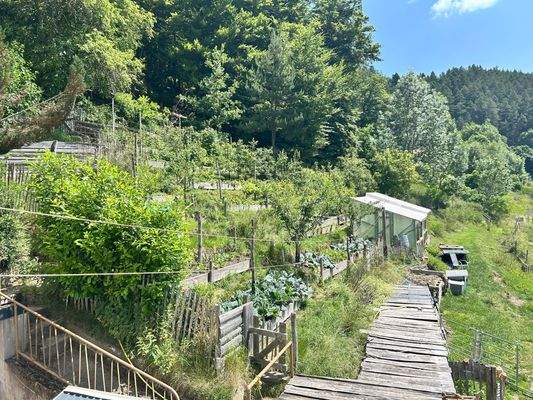 Blick in den terrassierten Garten 