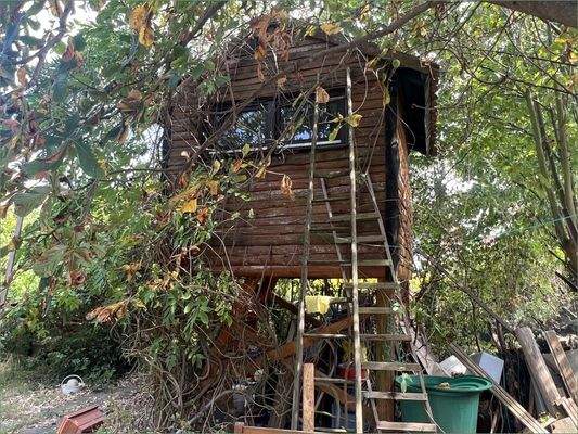 Baumhaus