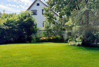 Garten hinterm Haus