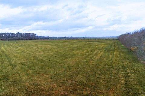 Löningen Bauernhöfe, Landwirtschaft, Löningen Forstwirtschaft