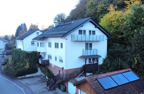 Meckesheim / Mönchzell Häuser, Meckesheim / Mönchzell Haus kaufen