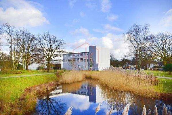 DSC_0046_bearb_ShiftN Kopie