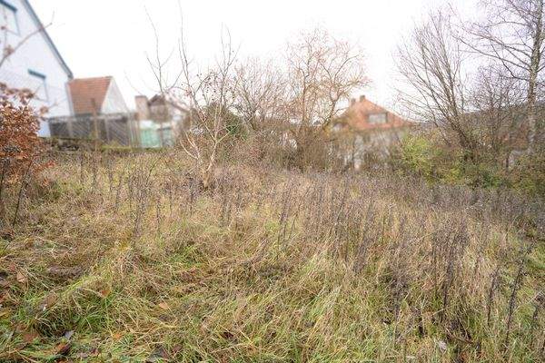 Blick in den hinteren Teil des Grundstückes