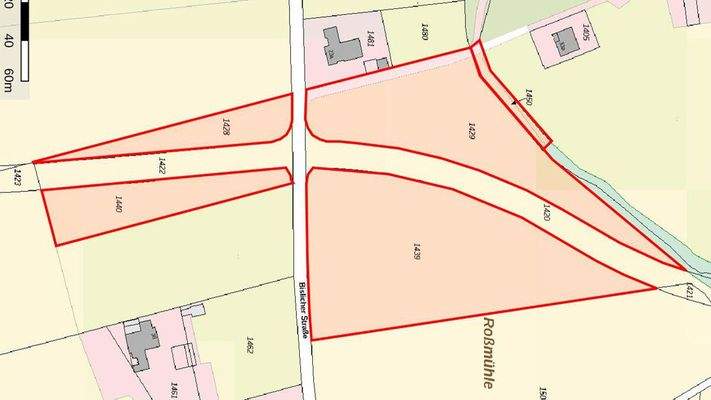 TIM-Online Flurstücke 