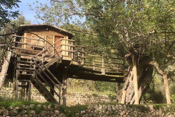 Abenteuer für Kinder im Baumhaus