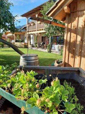 Garten Bild 2.jpg
