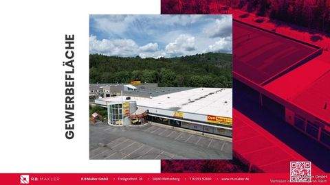 Plettenberg Halle, Plettenberg Hallenfläche