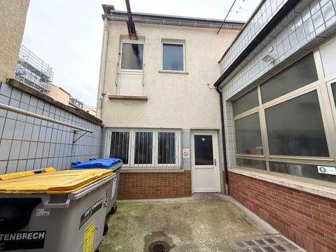 Mannheim Halle, Mannheim Hallenfläche