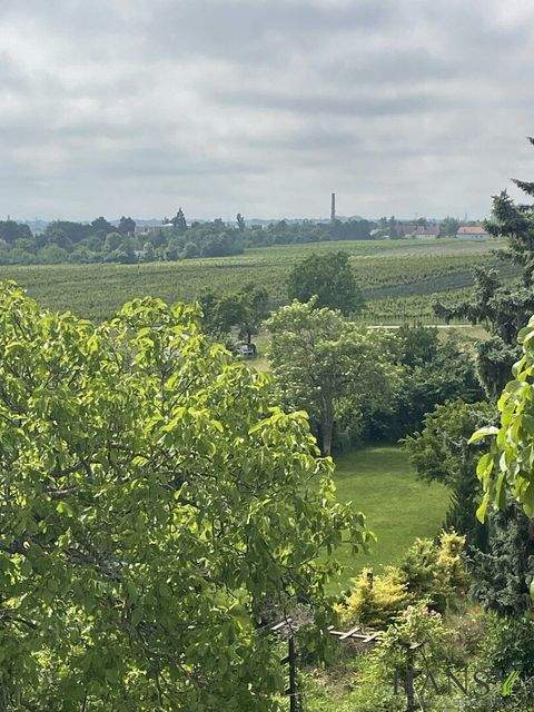 Sooß Grundstücke, Sooß Grundstück kaufen